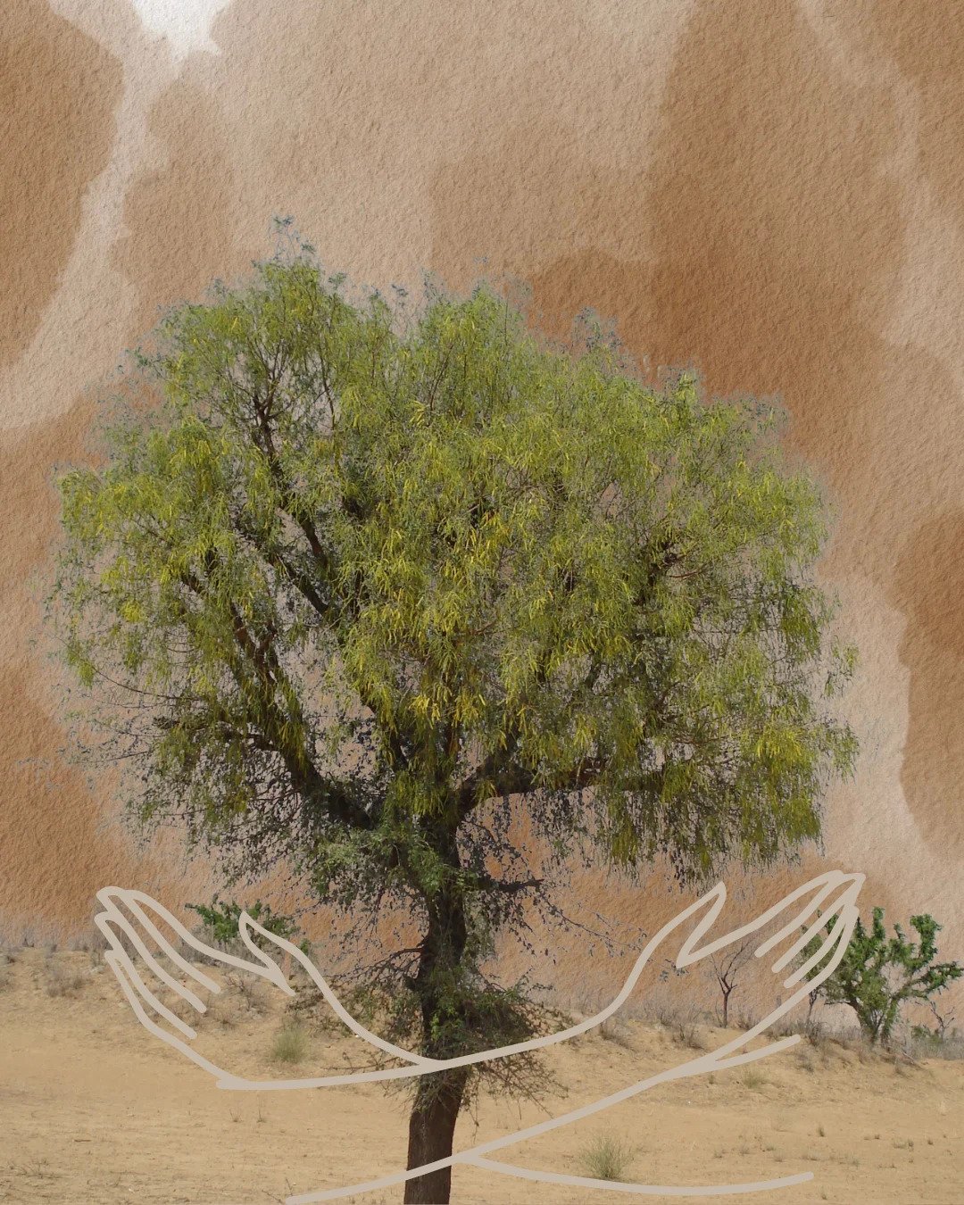 Bishnoi Community – Rajasthan’s Oldest Conservationists