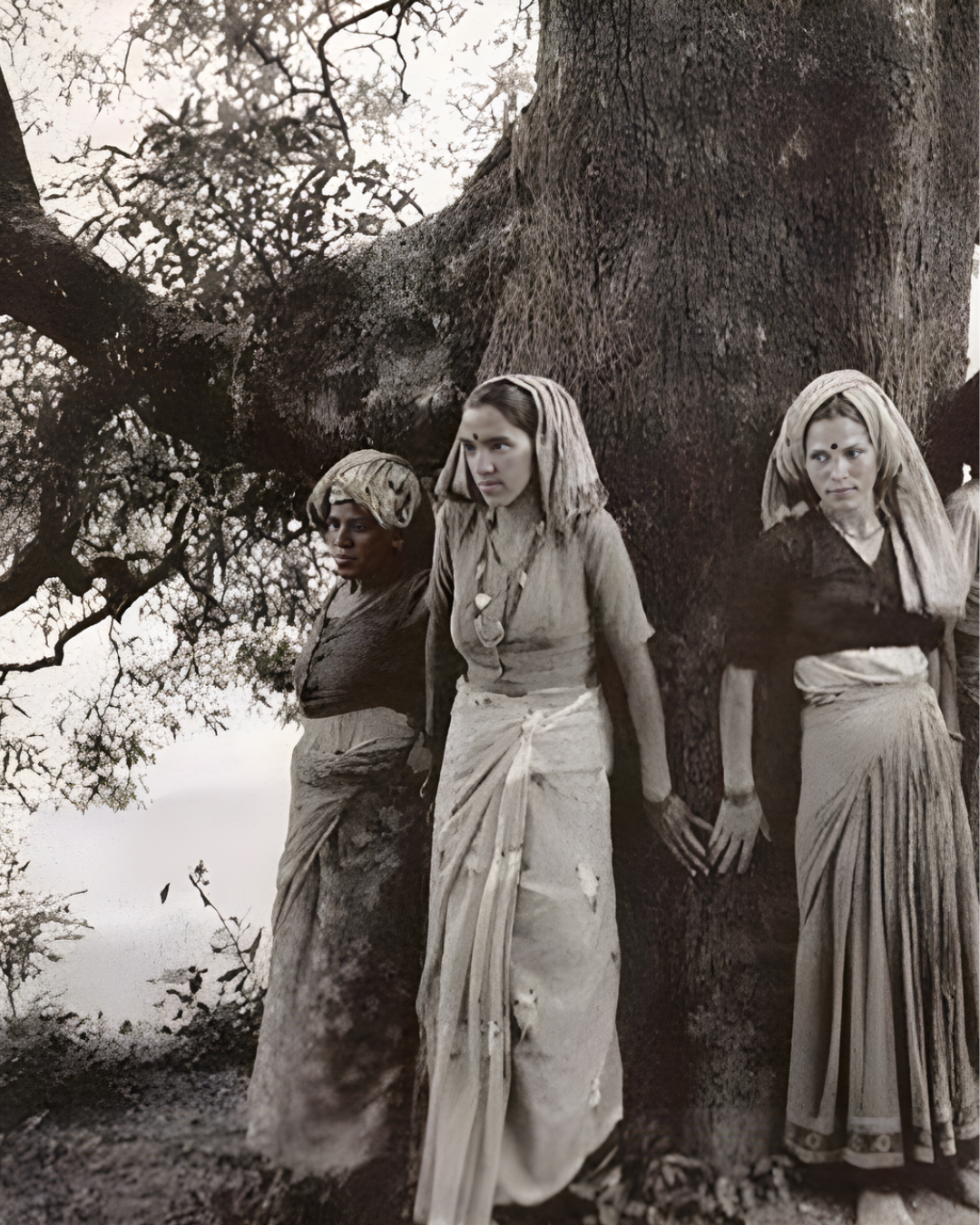 Amrita Devi Bishnoi Immerse India 2