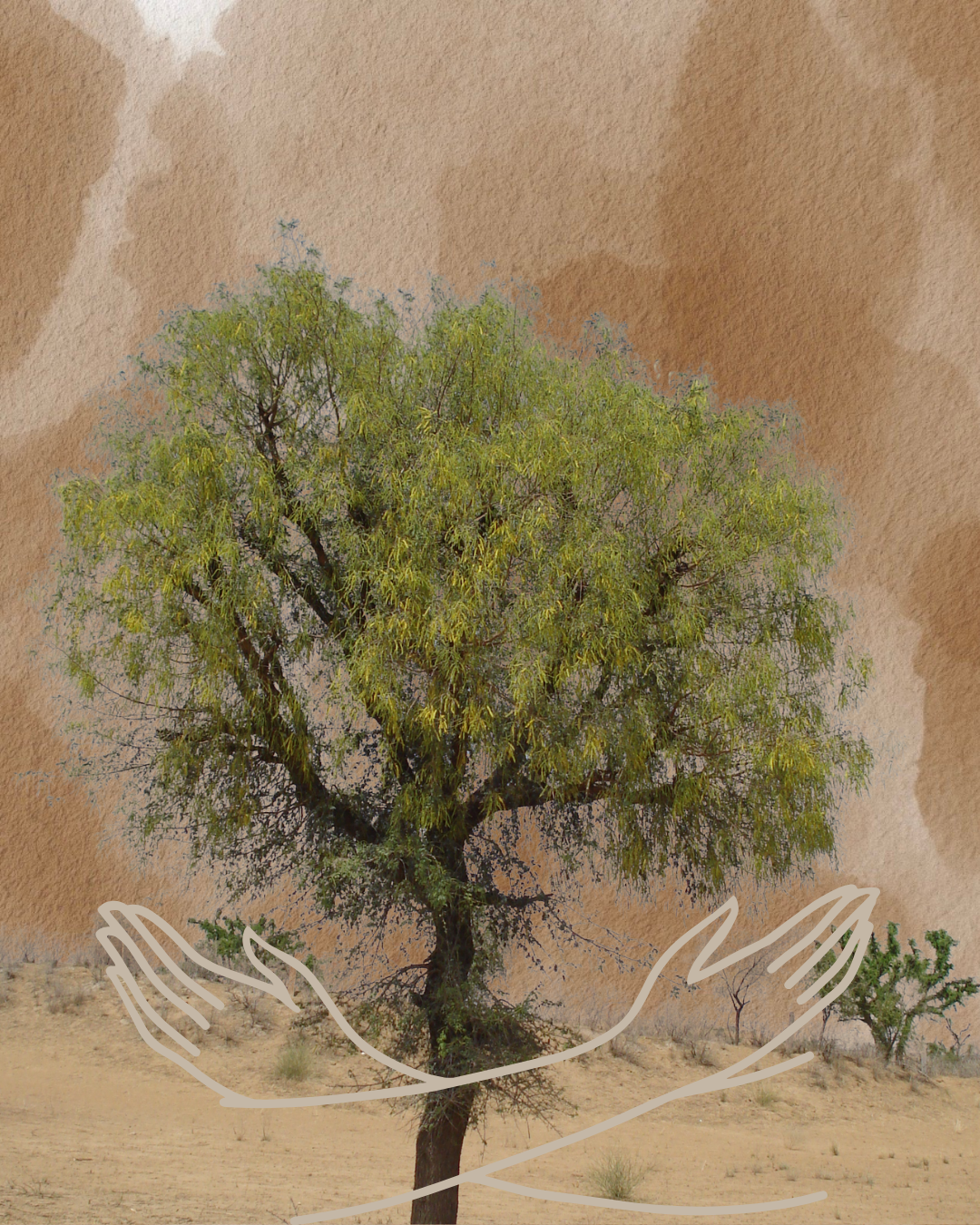 Amrita Devi Bishnoi Immerse India