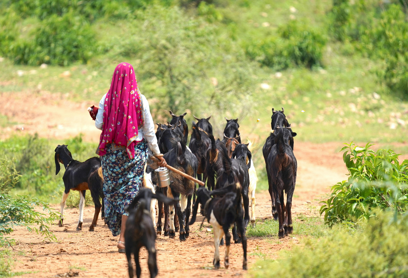 pexels a mature photographer 9792863