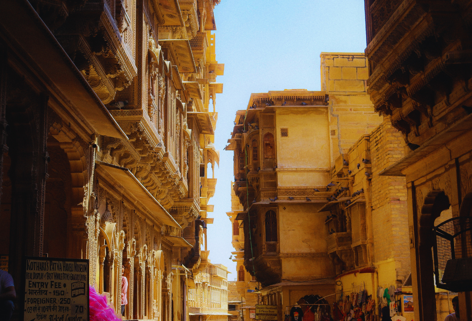 Immerse India Sustainability 4